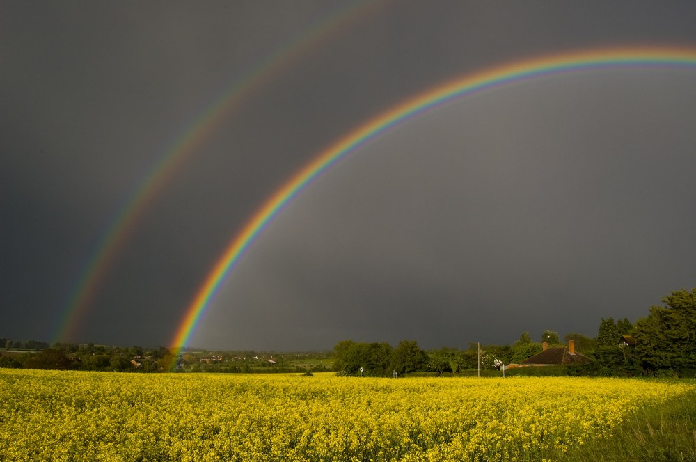 Photo courtesy of stock.xchng collection