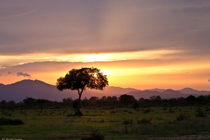 1500868_10153748743335577_2064432891_o