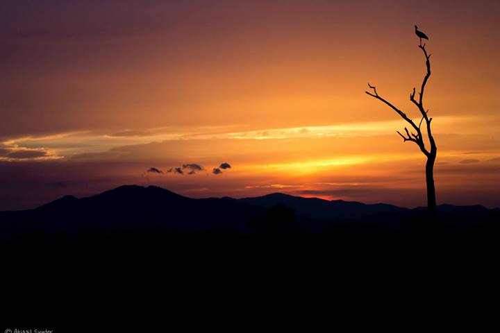 1614413_10153748745345577_544565177_o