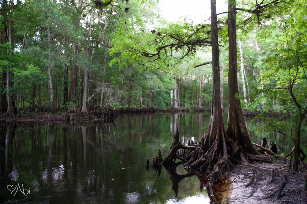 Withalacoochee State Trail, Florida