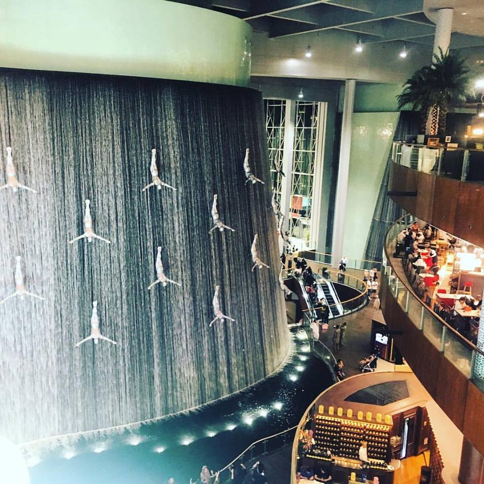 17759858_10158402208370577_3293686622477082017_n