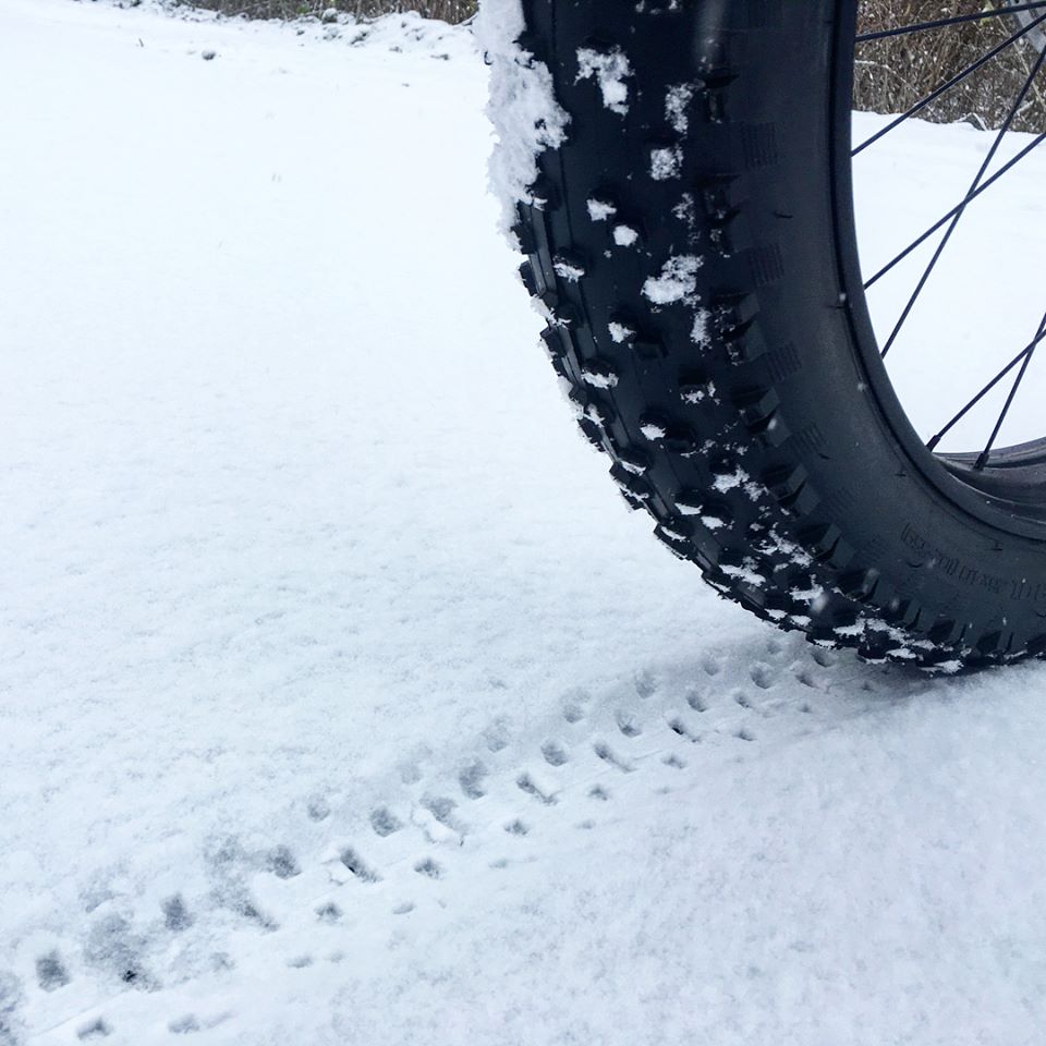 24909570_10159588407520577_7714621134968574527_n